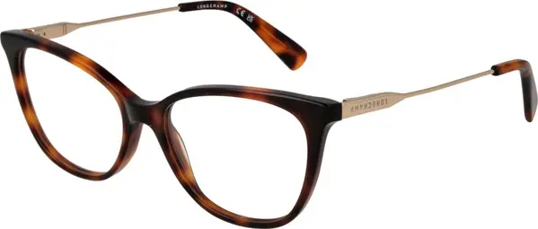 Brown Metal Glasses (Frames)