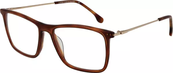 Brown Metal Glasses (Frames)