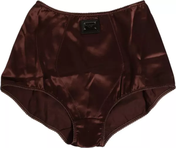 Brown Silk Stretch High Waist Girdle Underwear