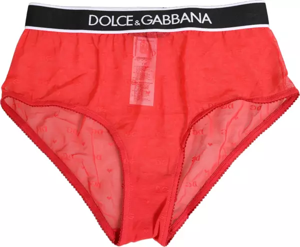 Red Nylon Logo Waistband Brief Panty Underwear