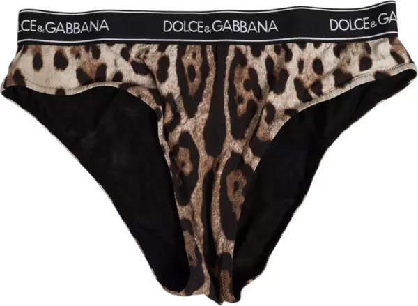 Brown Leopard Nylon High Waist Panty Underwear