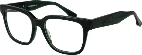 Bicolor Acetate Glasses (Frames)