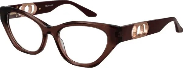 Brown Acetate Glasses (Frames)