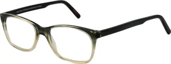 Bicolor Acetate Glasses (Frames)