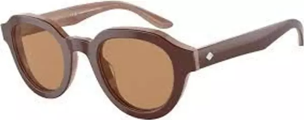 Brown Acetate Sunglasses