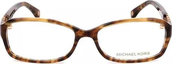 Brown Plastic Glasses (Frames)