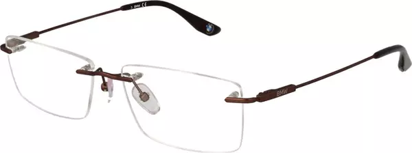 Brown Titanium Glasses (Frames)