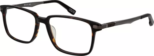 Brown Plastic Glasses (Frames)