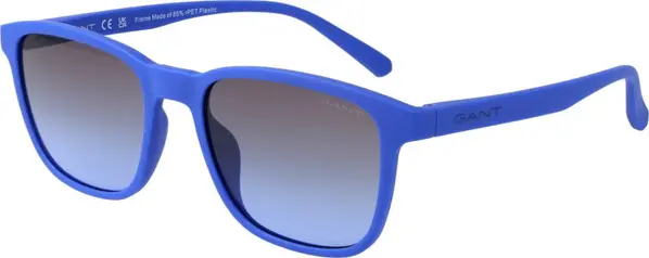 Blue Plastic Sunglasses