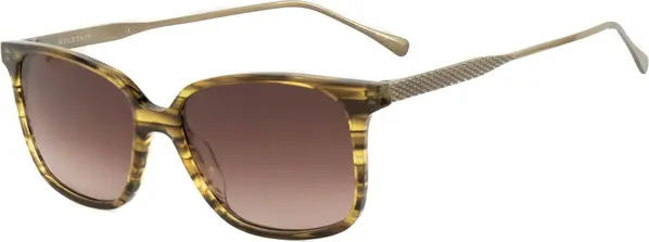 Brown Titanium Sunglasses