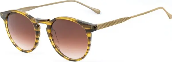 Brown Titanium Sunglasses