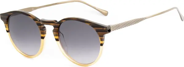 Brown Titanium Sunglasses