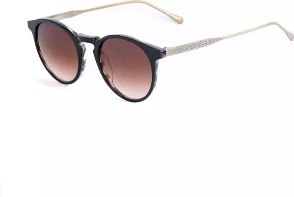 Brown Titanium Sunglasses