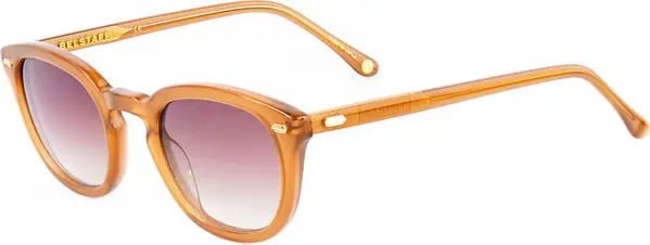 Brown Acetate Sunglasses