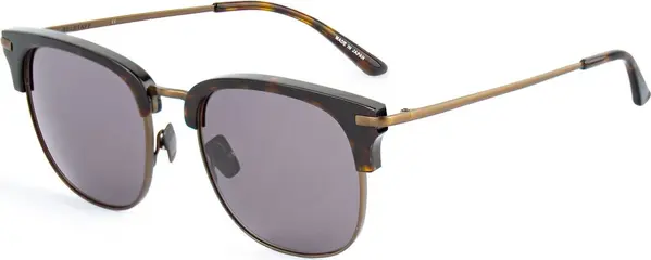 Brown Titanium Sunglasses
