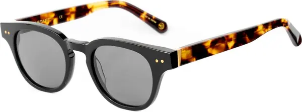 Black Acetate Sunglasses