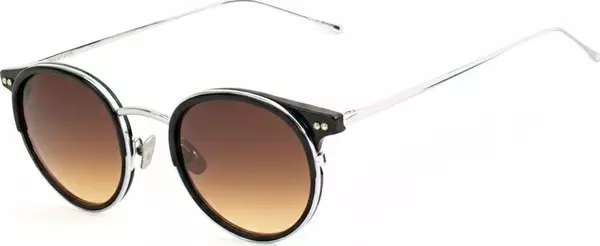 Gray Titanium Sunglasses