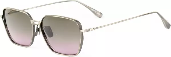 Gray Titanium Sunglasses