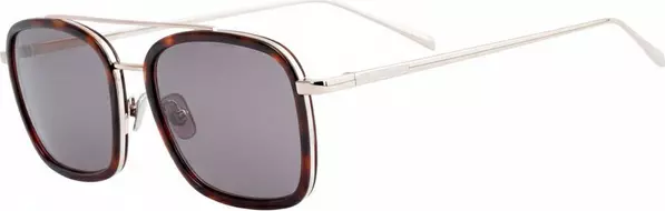 Gray Titanium Sunglasses