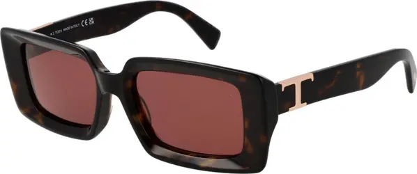 Brown Acetate Sunglasses