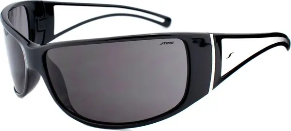 Black Acetate Sunglasses